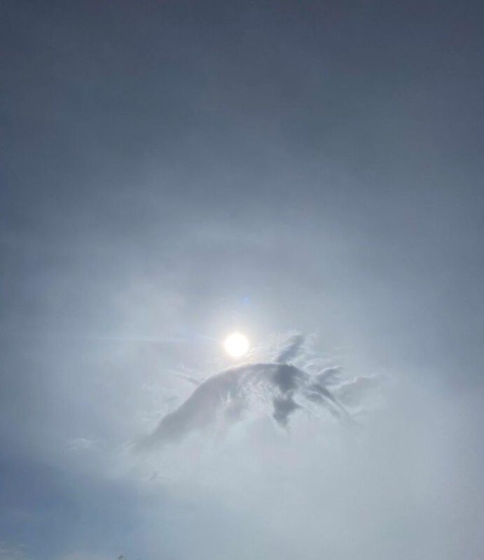 Núi Bà Đen tiếp tục gây bão vì hiện tượng mây "Cá chép hóa rồng"